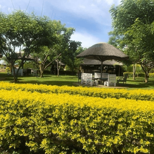Garden pavilion at Kumudzi Centre